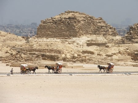 Horses and carts at Giza